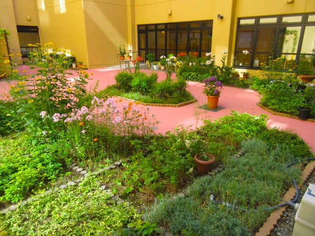 IMG_6779.JPG
