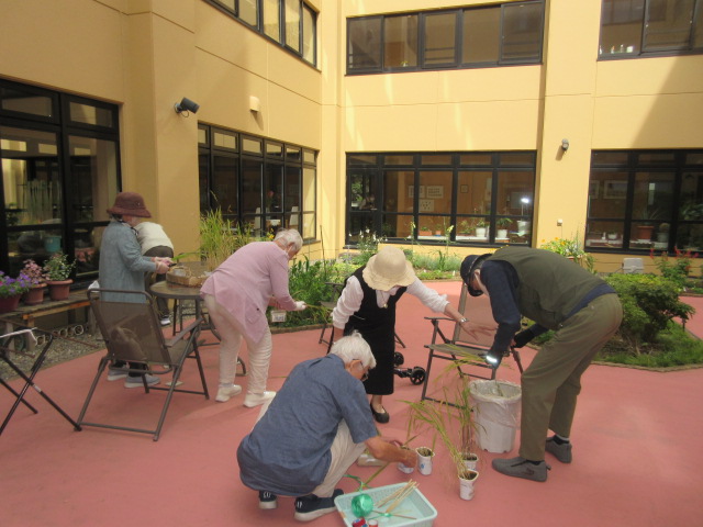 IMG_8393.JPG